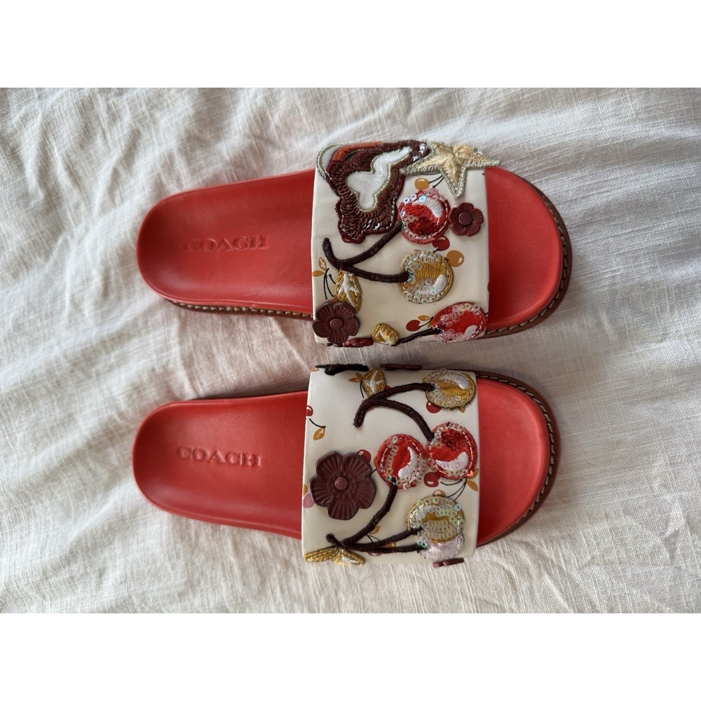 Coach Embroidered Slides Sandals Sz 5 Cherry Flowers Stars Sequins Glam Whimsy - Picture 2 of 6